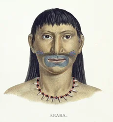 Native Man of the Arara Tribe with Blue Face Paint, from Atlas of a Journey in Brazil by Johann Baptist von Spix and Karl Friedrich Philipp Martius, published c.1835-50
