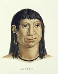 Native Man of the Aroaqui Tribe, from Atlas of a Journey in Brazil by Johann Baptist von Spix and Karl Friedrich Philipp Martius, published c.1835-50