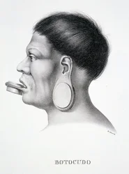 Native man of the Botocudo tribe, with plug face decoration, from Atlas of a Journey in Brazil by Dr von Spix and Dr von Martius