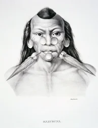 Native man of the Maxuruna tribe, with face decoration, from Atlas of a Journey in Brazil by Dr von Spix and Dr von Martius