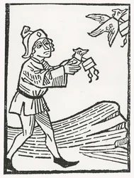 Pigeon Post
