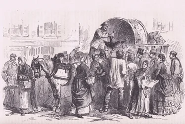 Poultry sellers in Paris