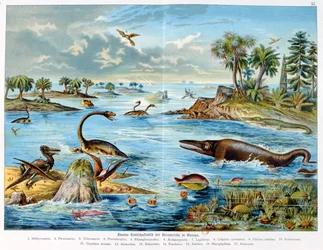 Prehistory - Jurassic - reconstruction of natural environment in Europe and some of the animals of this period, 1886