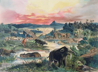 Prehistory - Tertiary - reconstruction of the natural environment in Europe and some of the animals of this period, 1886