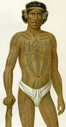 Tattooed Man from the Caroline Islands, 1894