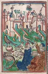 The Birds and Creatures of the Air, illustration from 