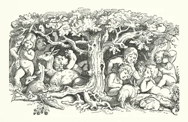 The Seven Swans