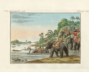 Tiger Hunting on an Indian River