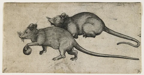 Two Mice, 1450-80
