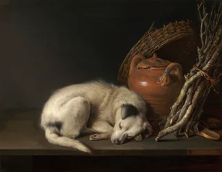 A Sleeping Dog