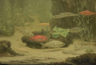 Gold and Silverfish in an Aquarium