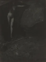 The Bat