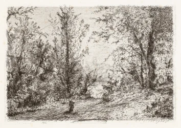 Forest on Lago Maggiore