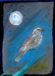 Moon Bird, 2016