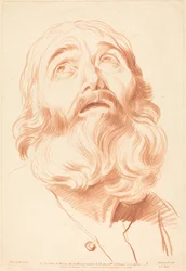 Head of a Man