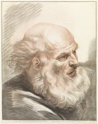 Head of an Old Man with Beard
