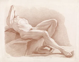 Reclining Male Nude