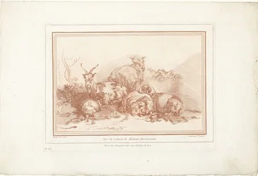 Lying Sheep and Goat