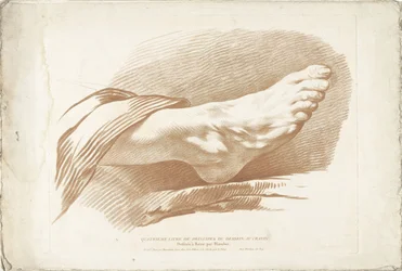 Study of Right Foot