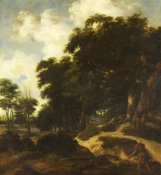 Woodland Scene