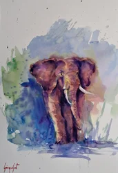 Majestic Watercolor Elephant