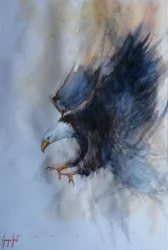 Powerful Eagle Flight