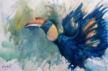 Tropical Blue Hornbill