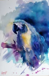 Vibrant Blue Macaw