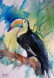 Vibrant Jungle Toucan