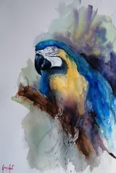 Vibrant Macaw Portrait