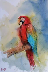 Vibrant Red Macaw