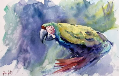 Vibrant Watercolor Macaw