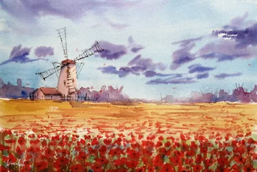 Vibrant Windmill Poppy Field