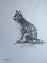 Watchful Charcoal Cat