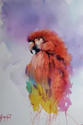 Parrot 2