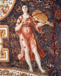 Young woman playing the violin