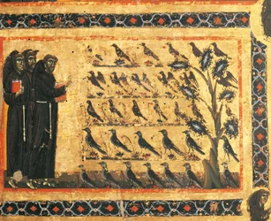 Stories of St Francis: St Francis Preaching to Birds, fresco by Giotto, ca 1325. Bardi Chapel of Vernio, Basilica of Santa Croce, Florence, Italy