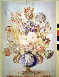 Unknown Image