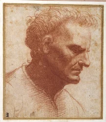 Head of a beardless man looking downward