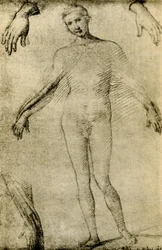 Model Study for a Virgin Mary as Mater Misericordiae