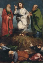 Transfiguration