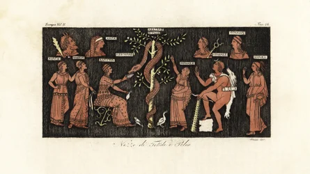 Heracles on his 11th labor, taking golden apples from the Garden of the Hesperides guarded by the serpent Ladon
