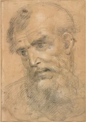 Head of a Bearded Man; Study for a Sacred Conversation