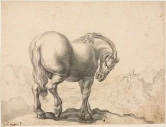 Study of a Stallion, First Third 18th Century