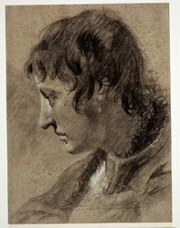Head of a Young Man