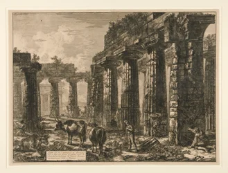 Another View