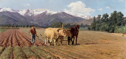 Ploughing