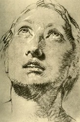 Head of a Young Woman, looking up