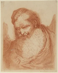 Head of a heavily bearded old man in a cap
