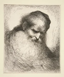 Old Man with a Beard Facing Front (from Series of Large Oriental Heads)